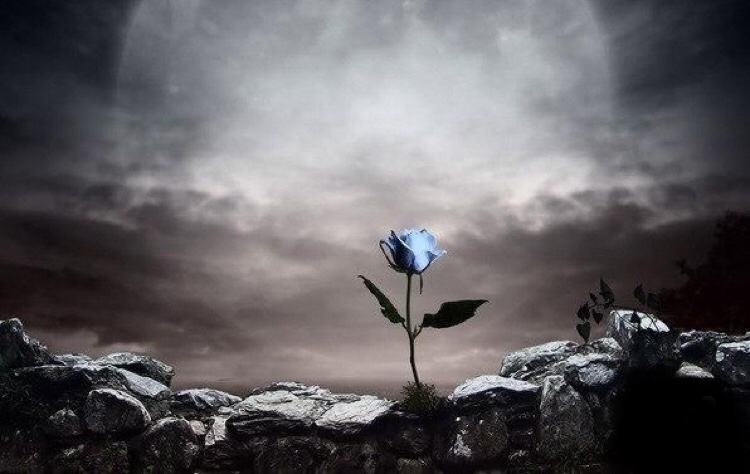 Birkat HaLevana: Benedizione Mensile della Luna&nbsp;🌗