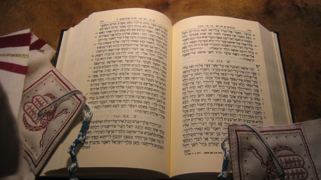 Ciclo di lettura Mondiale dei Salmi – Tehilim: oggi il Primo