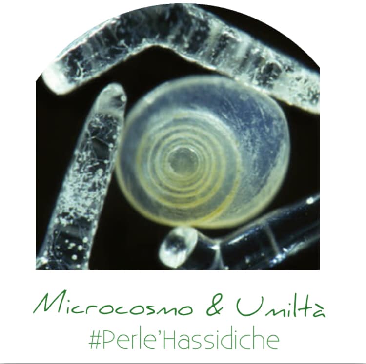 Microcosmo ed Umiltà