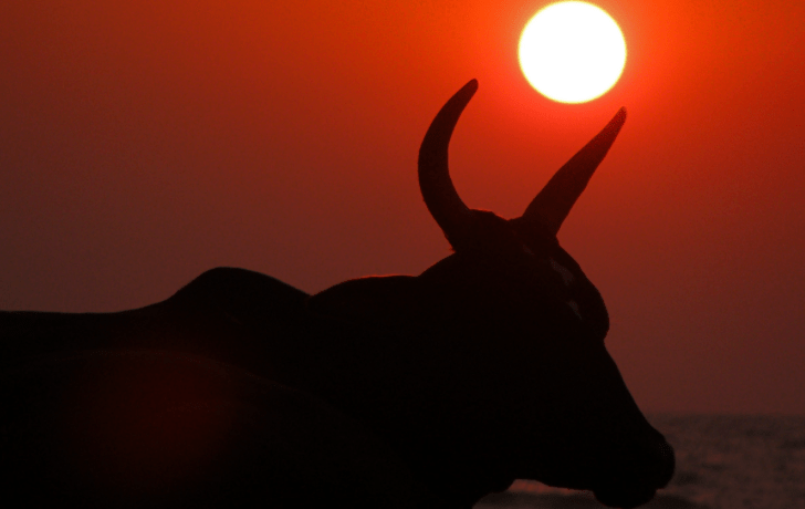 Lo Sforno commenta Ki-Tissa: Israele ed il Vitello&nbsp;d’Oro